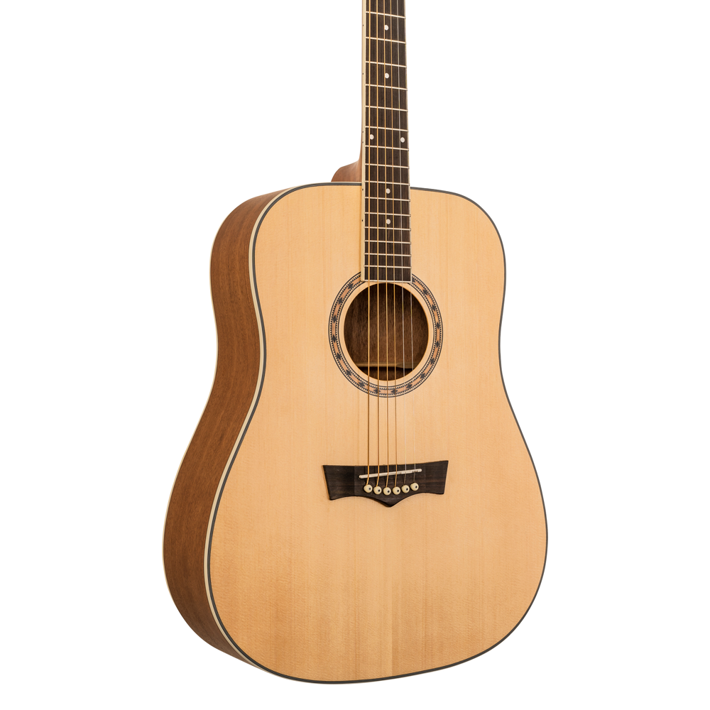 GUITARRA ACUSTICA PEAVEY DW1