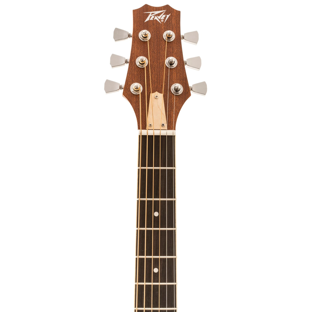 GUITARRA ACUSTICA PEAVEY DW1