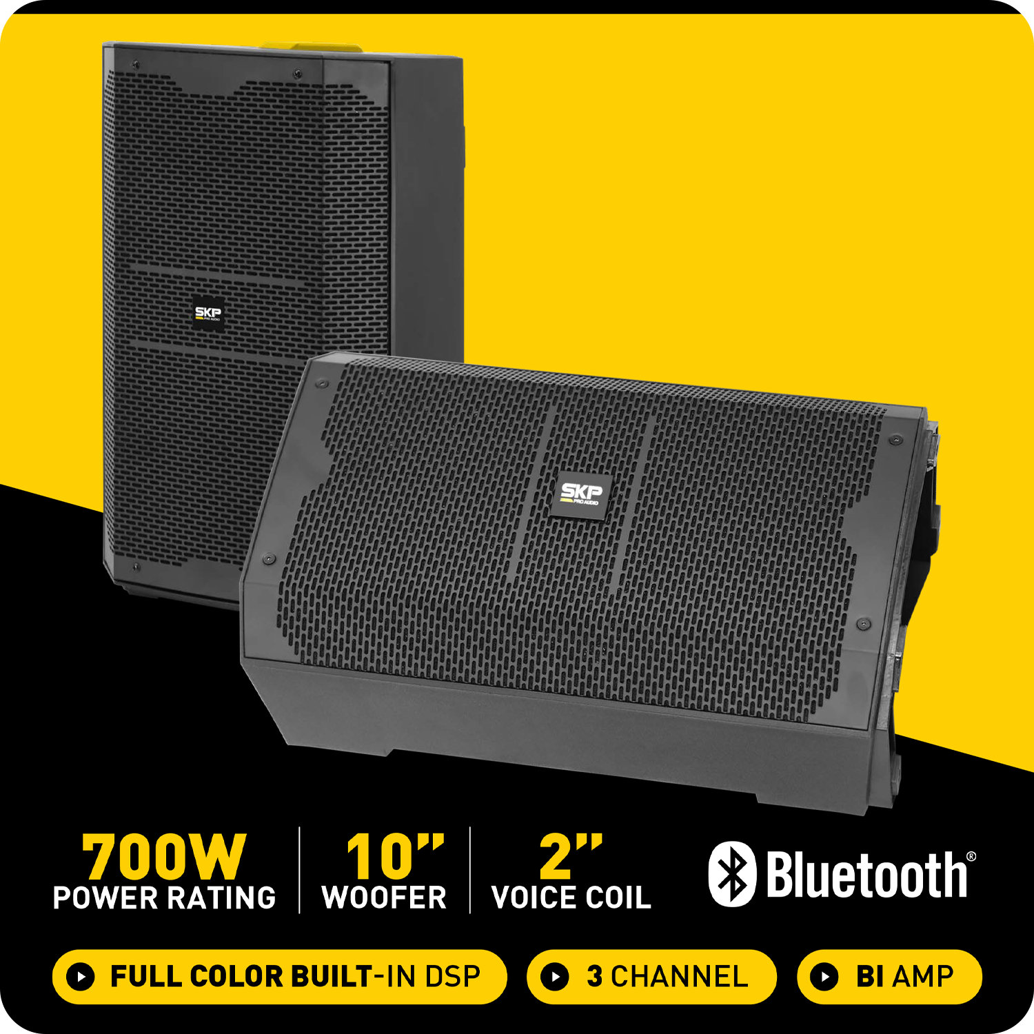 CAJA ACTIVA SKP DX-10