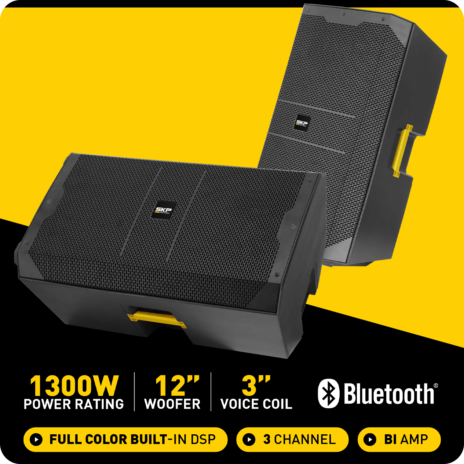 CAJA ACTIVA SKP DX-12
