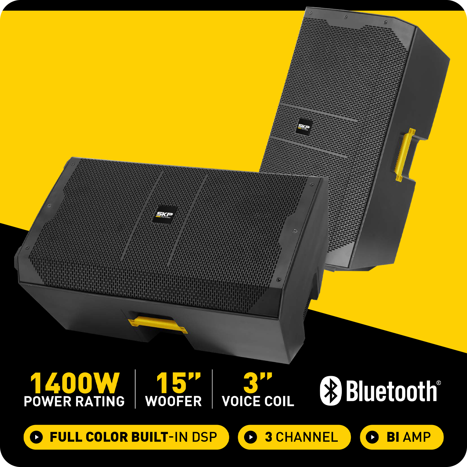 CAJA ACTIVA SKP DX-15